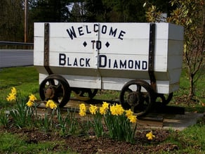 ADT Black Diamond, WA Home Security Company