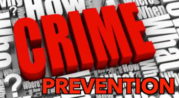 Prevent Crime! You Need a Well Rounded Security Plan: Recent Crime Part 3