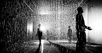 rain-room_04-418158-edited.jpg