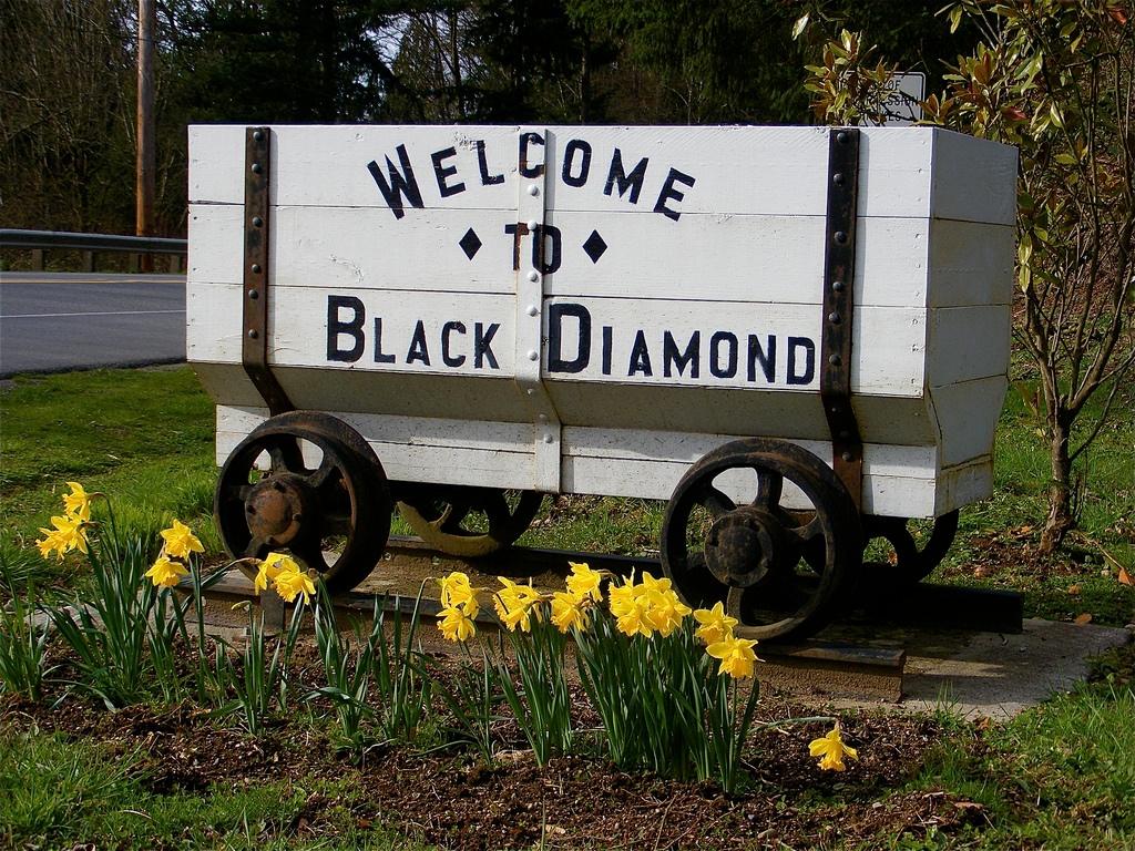 ADT Black Diamond Home Security Black Diamond, WA Washington